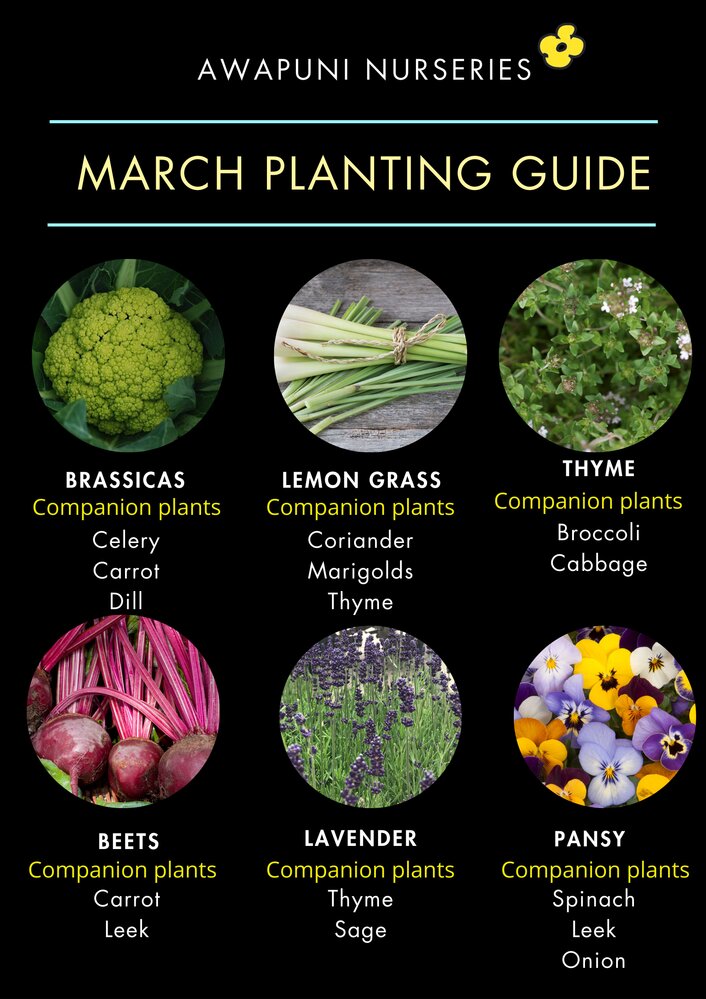 March 